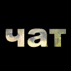 [79 KB]